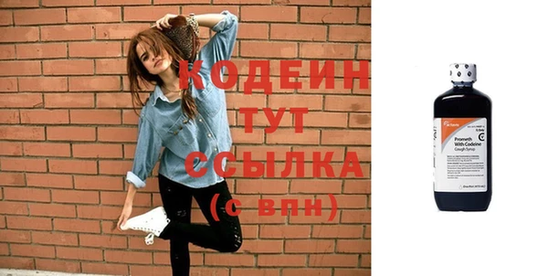 сатива Каменка
