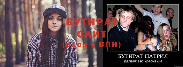 сатива Каменка