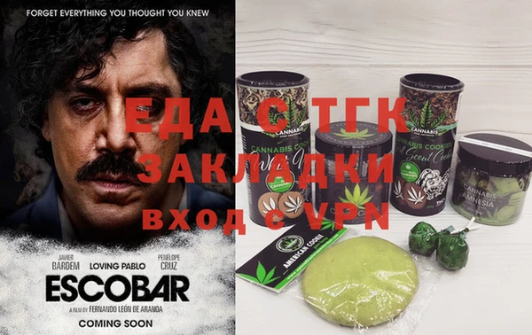 сатива Каменка