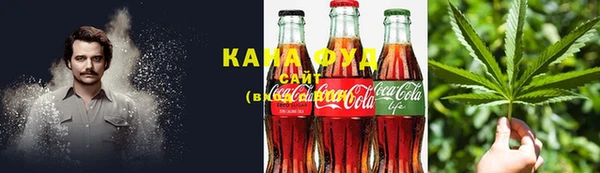 сатива Каменка