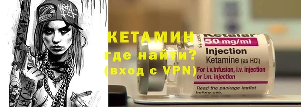 сатива Каменка