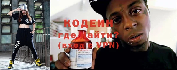 сатива Каменка