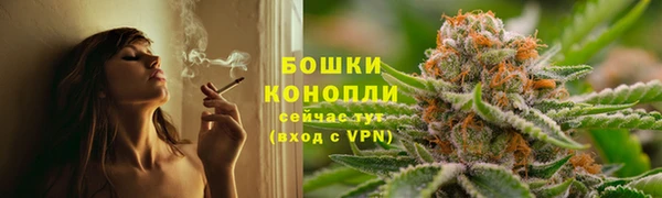 сатива Каменка