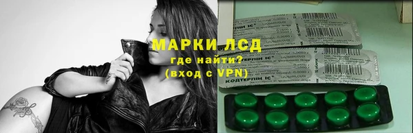 ПСИЛОЦИБИНОВЫЕ ГРИБЫ Каменногорск