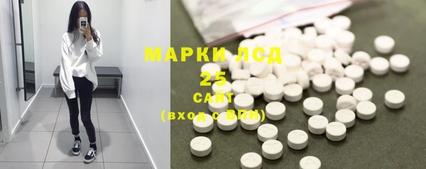 сатива Каменка