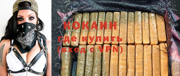 сатива Каменка