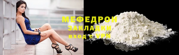 сатива Каменка