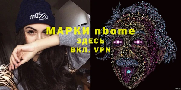 сатива Каменка