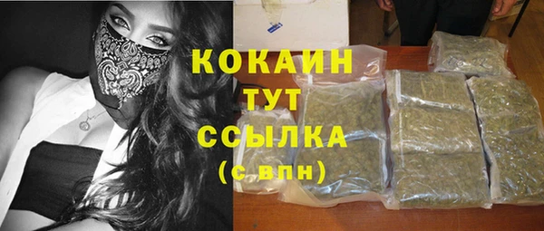 сатива Каменка