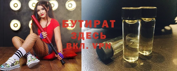 сатива Каменка