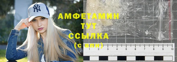 сатива Каменка