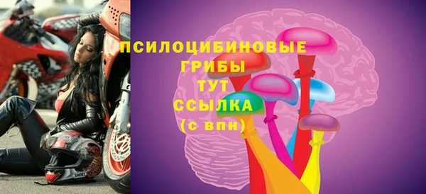 ПСИЛОЦИБИНОВЫЕ ГРИБЫ Каменногорск