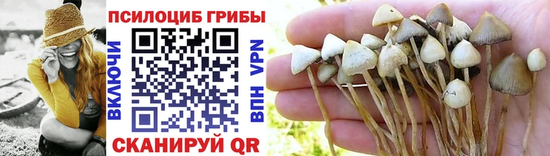 Псилоцибиновые грибы MAGIC MUSHROOMS  Купить  Зеленокумск 