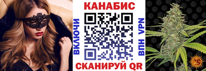 Купить где  Зеленокумск  Бошки марихуана сатива 